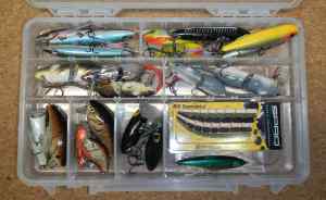 Topwater Wake and Prop Baits