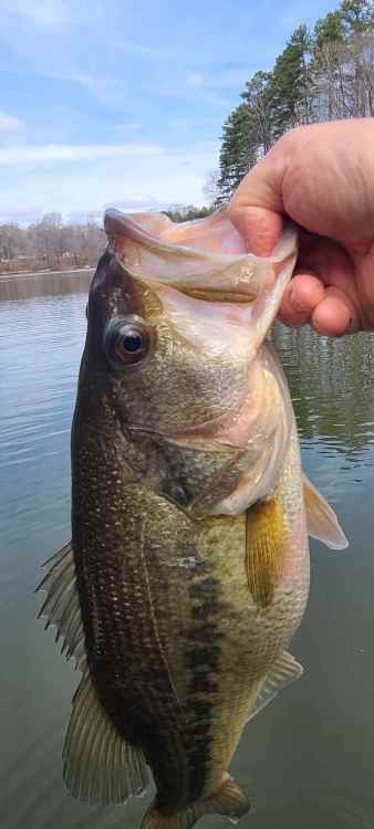 20220226_121649_copy_726x1612.jpg