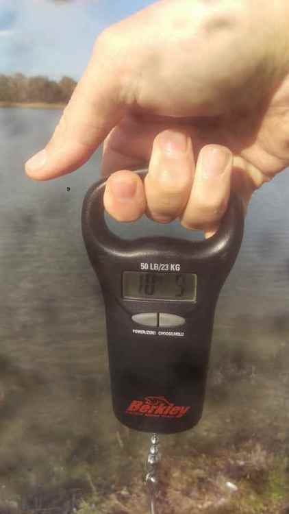 783877949_10-9scale.thumb.jpg.0216309e5750dc3296a943dd24fdb66b.jpg
