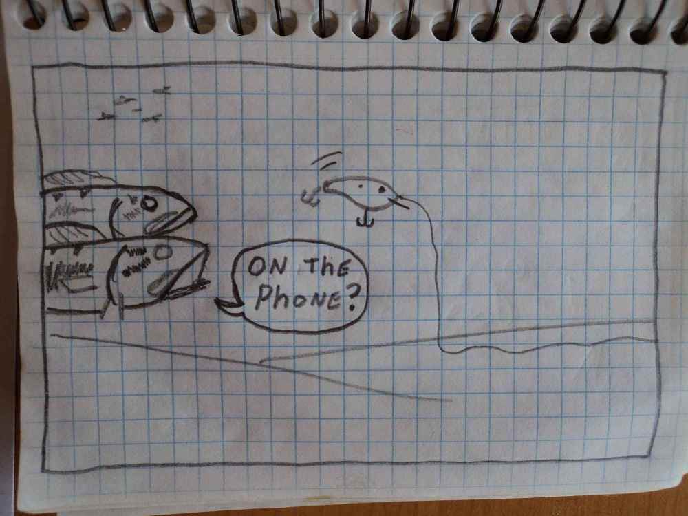 DSC06920.thumb.JPG.de3986b65d3064d1c9124163052b3b6c.JPG