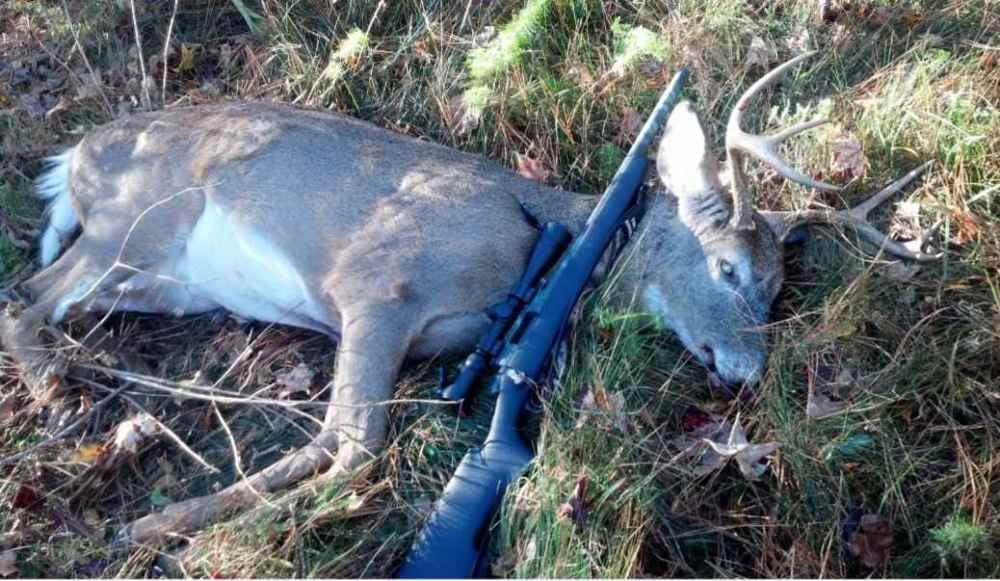 Screenshot_20220215-013702_Gallery.jpg