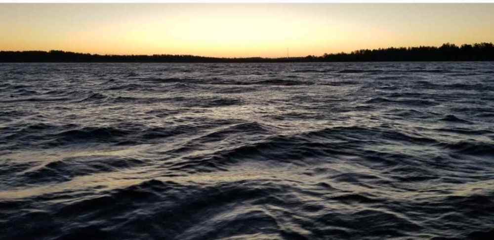 Screenshot_20220223-145315_Gallery.jpg