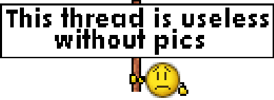 image.gif.877f8d2fe05b9466ea3a3d808d7d1028.gif