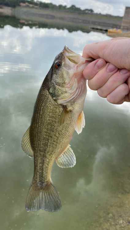 rsz_2img_5112.thumb.jpg.2b9cf5a59931ad6ada6d058d1c8eb9fe.jpg