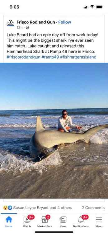 1730443625_hammerhead11footfrisco.thumb.jpg.d1276ff6e655e6abff5cf5250e1c4d9f.jpg