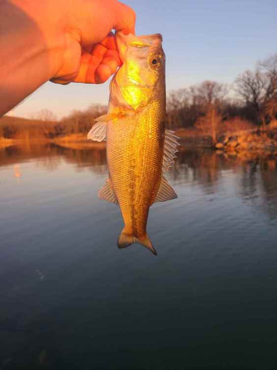 20220315_230853.jpg