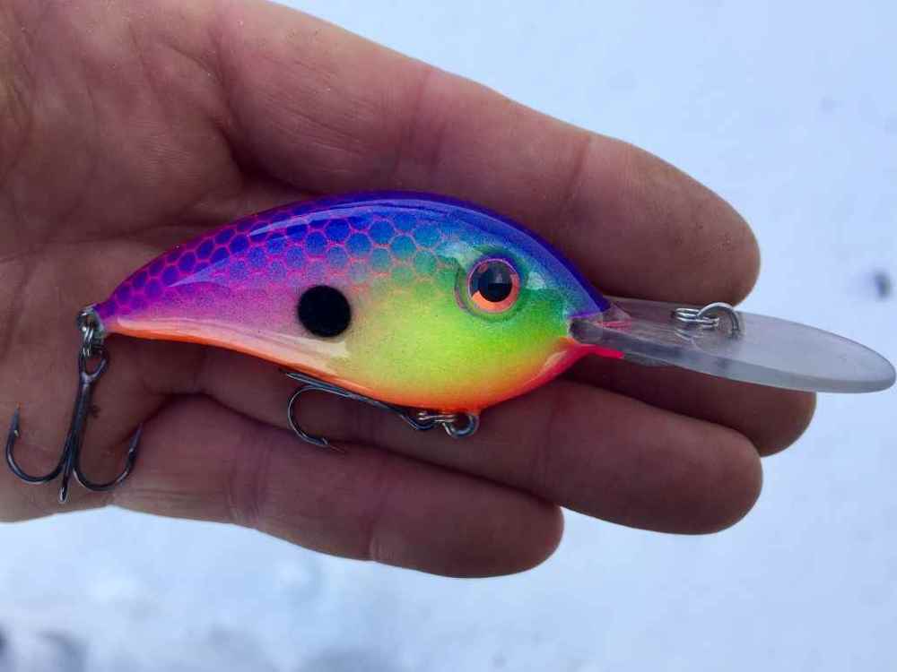 cedar baits21.jpg