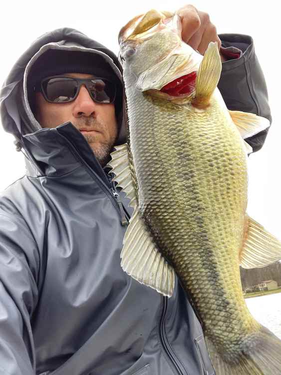 cold jerkbait.jpg