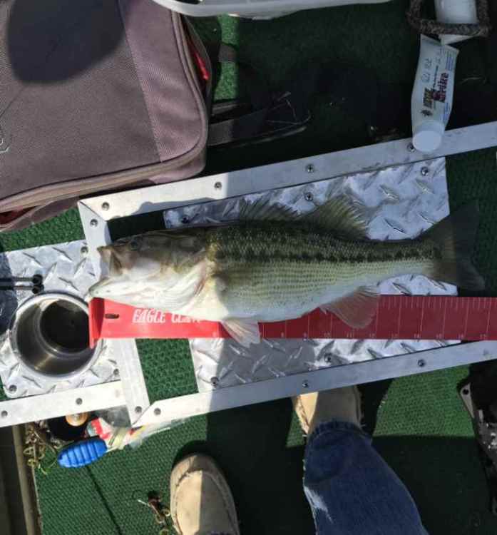 8D8D0F77-8816-42A7-91A7-56879A7088B8.jpeg