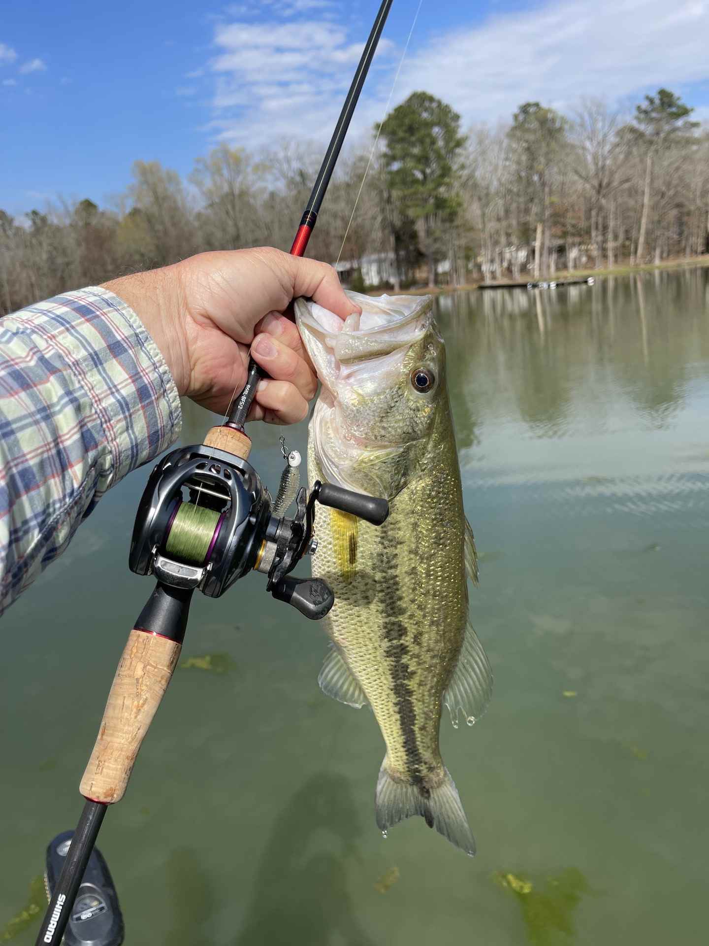First Foray Into BFS - Fishing Rods, Reels, Line, and Knots - Bass Fishing  Forums