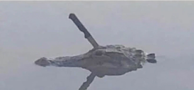 image.png.e016e53d20ffe7a8e05810c00ea0ebc3.png