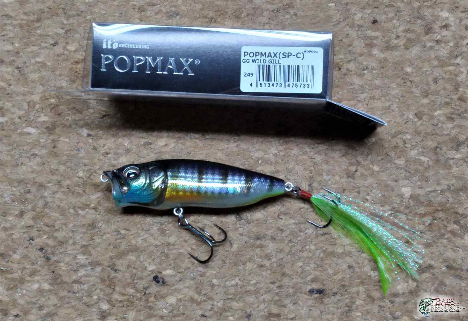PopMax GG Wild Gill  ~