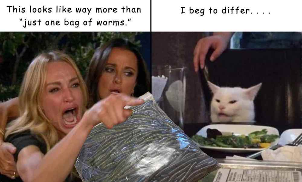 One bag of worms.jpg