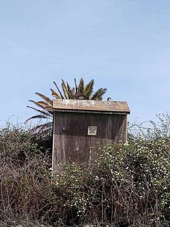 63D7238F-5D48-4619-B38C-17E60DEC7E4B.jpeg