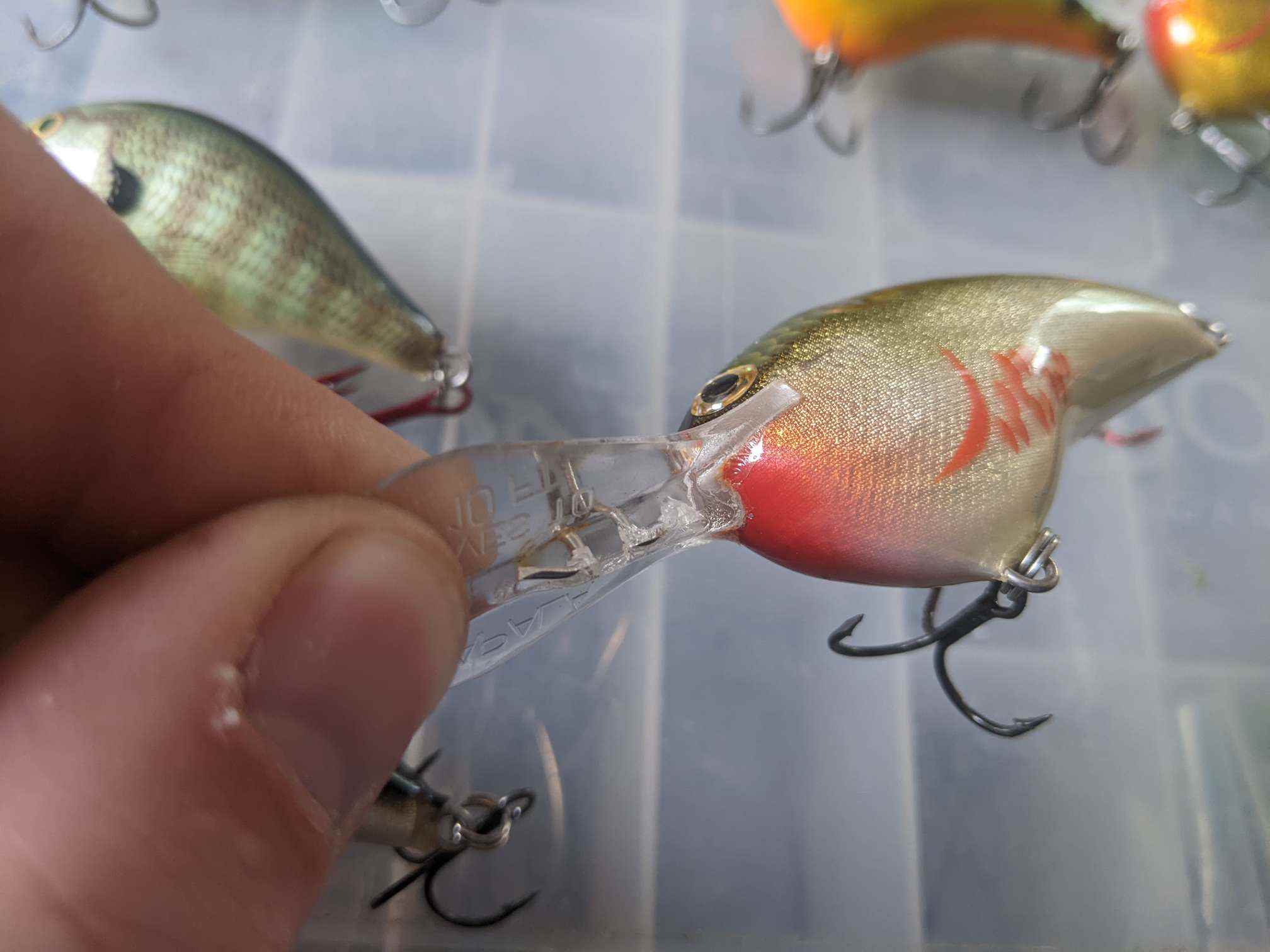 When The Old Black/Silver Rapala STILL Outfishes Everything Else… 