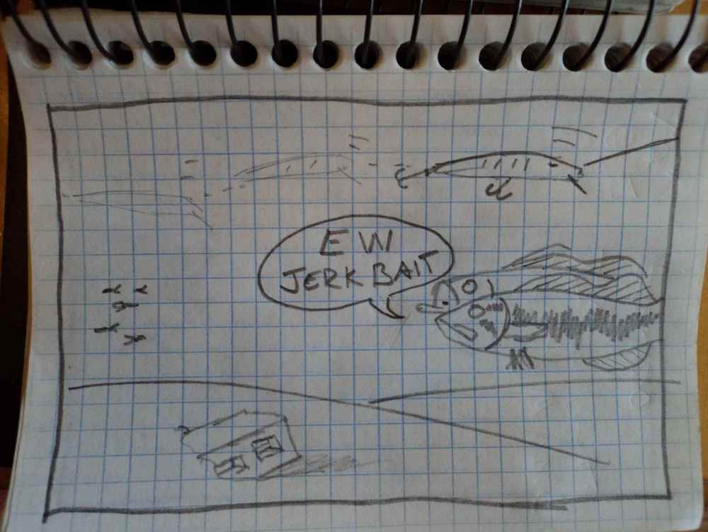 DSC06996.thumb.JPG.d659f97161578b2e5e7465c469f3e749.JPG