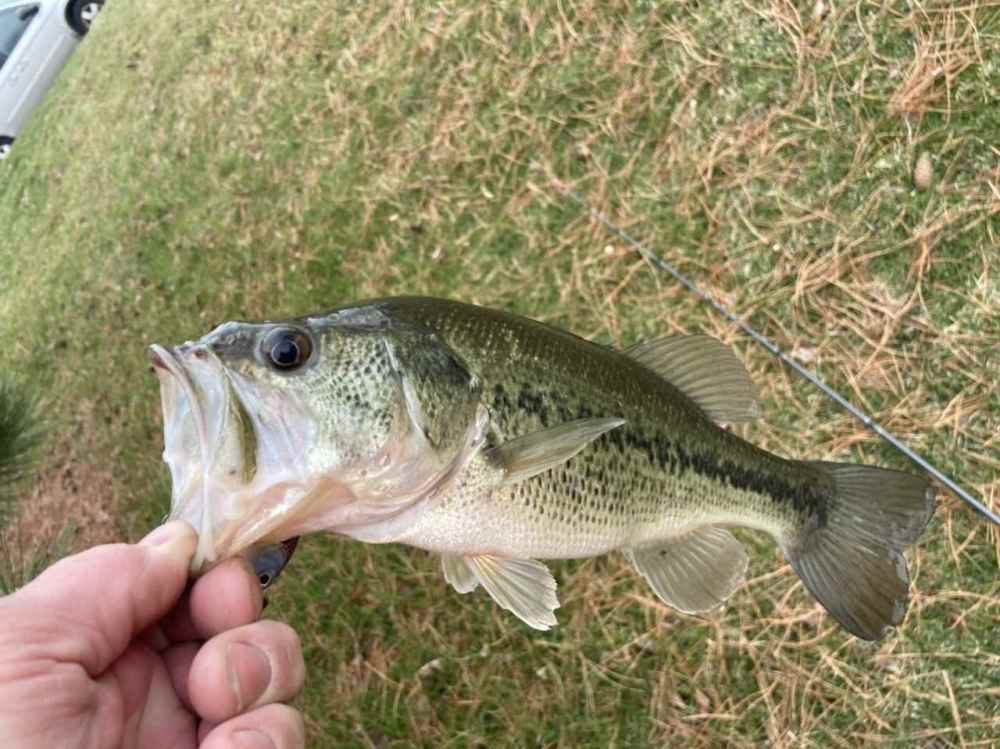 F1507B87-06A1-426D-A41A-35332F2A10D7.jpeg