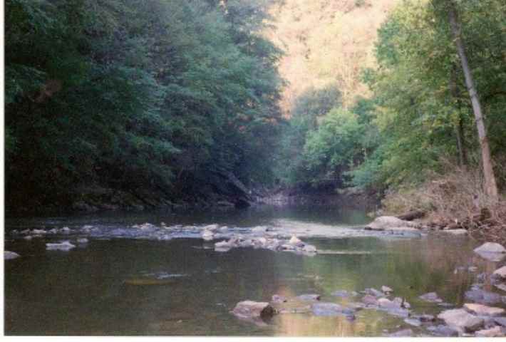Wissahickon0002.jpg.a965ad9e40a83c8c49a496abac810268.jpg