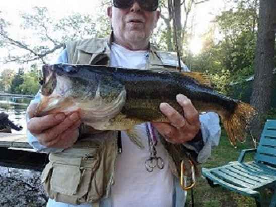 bass1.jpg.f261001a901c9dbdab111522752aa456.jpg