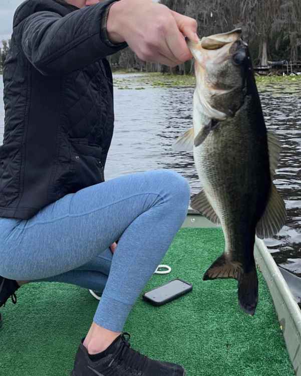 bass3.jpg