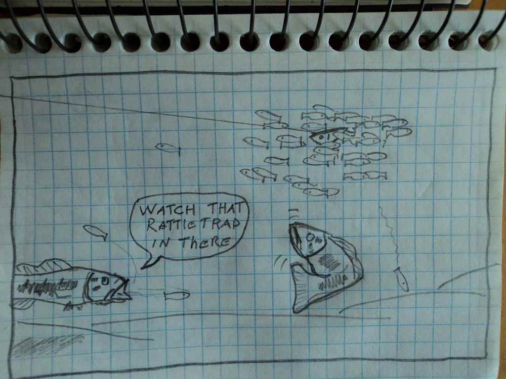 image.thumb.jpeg.4817d7f5578105b02e101dc61d69b715.jpeg