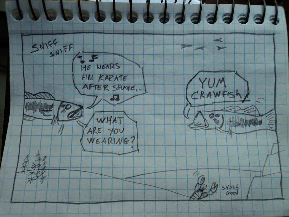 image.thumb.jpeg.82cd231391a5dfb5f950d5e3cbf75c6d.jpeg