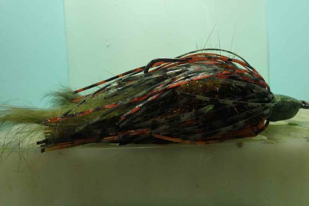 1330165567_swimmingcrayfish320.thumb.jpg.c028c6d285f58688fa3a7e863db55562.jpg