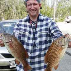 SkinnyWaterBasser