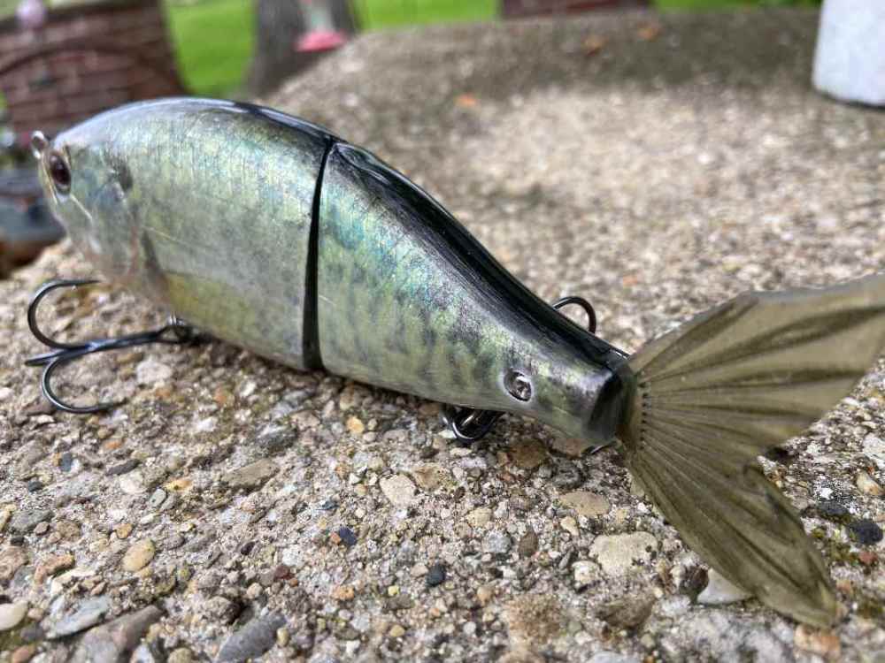 swimbait pic.jpg