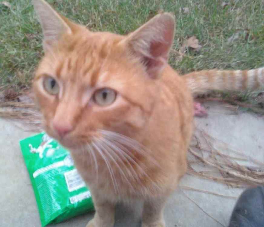 Screenshot_20220530-150441_Gallery.thumb.jpg.cb89dbb96973c6d5c37d5d9c4a6645a8.jpg