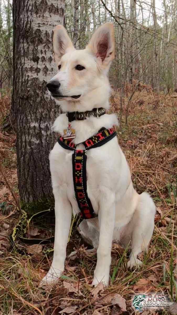 KYA is 2 Yrs Old