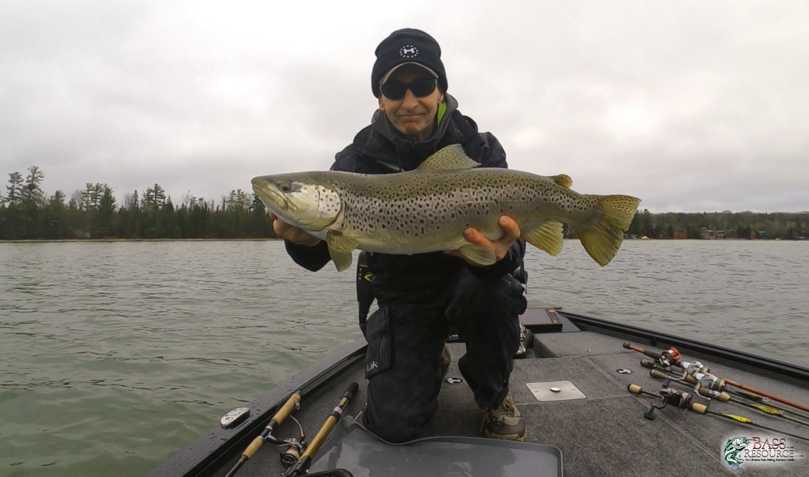 large.1660392718_BigBrownTrout-cleanBR.png.e23ff5b78baaccab9cdb5037a1e7cffb.png