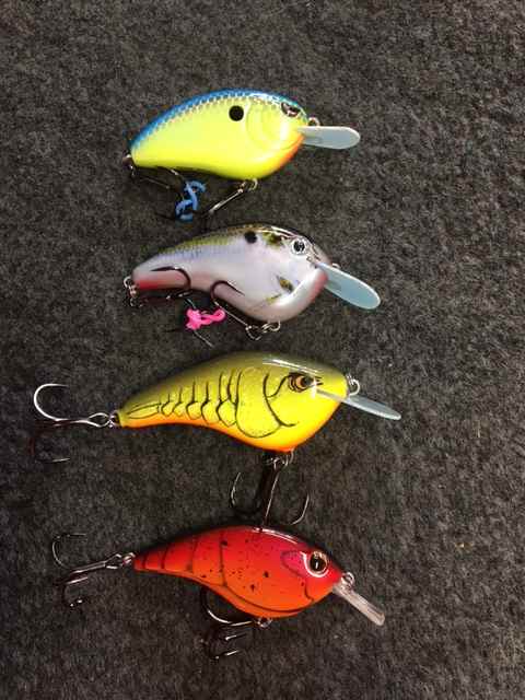 The Strike King Chick Magnet - Fishing Tackle - Bass Fishing Forums