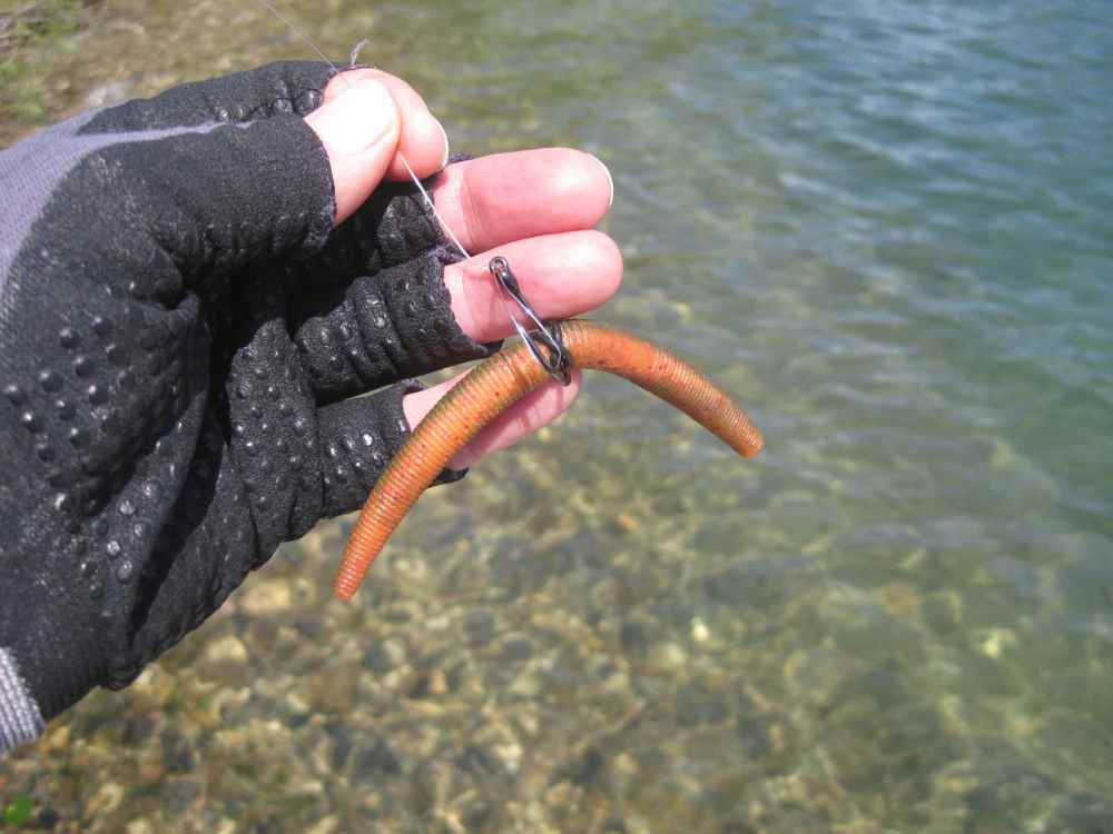 1810791381_broken002.thumb.JPG.f013e57f398cd0713fa7ff3861afde6b.JPG