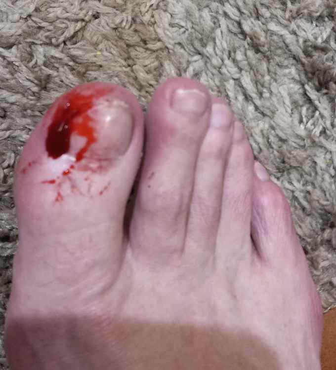 20220318_222110.thumb.jpg.684bb80fec87e903f73fdbc0c7a66ce4.jpg