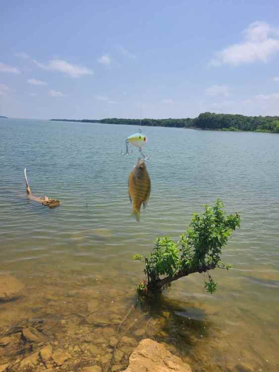 20220609_173101.jpg