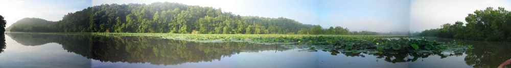 ParPond.thumb.jpg.b70501e1490ed993424eb7344df39a04.jpg