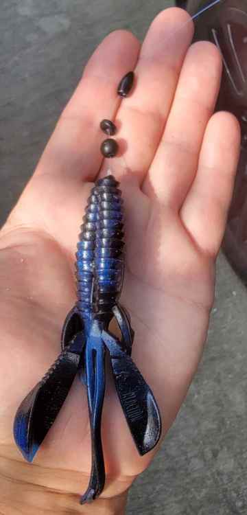 Screenshot_20220613-093532_Gallery.jpg