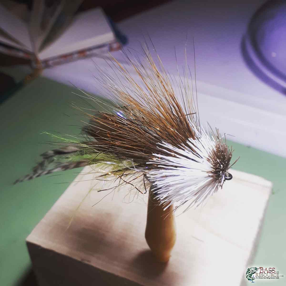 Ties for Smallies