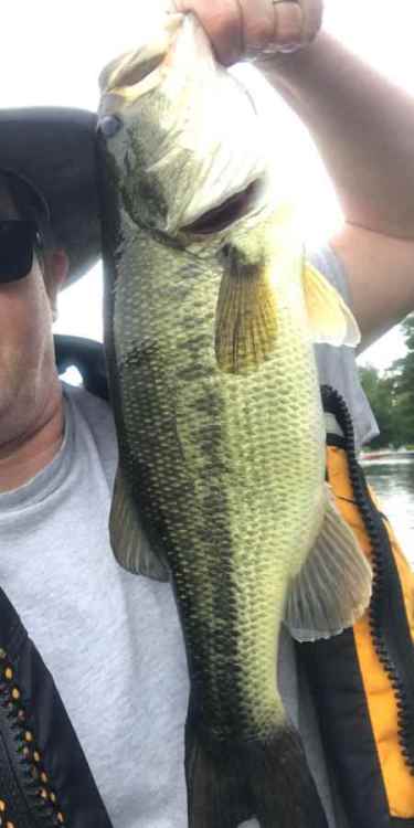 mainebass.jpg