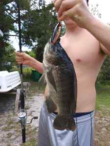 Another fish I Caught maybe a crappie.jpg