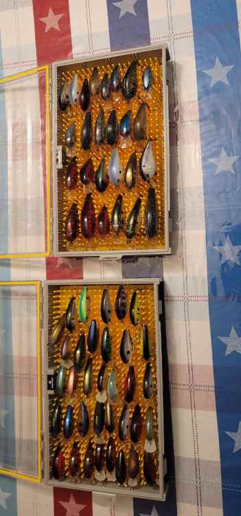 20220701_082949_compress9.jpg