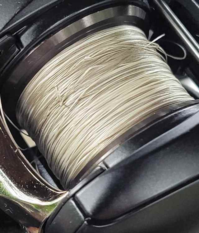 20220709_120537.thumb.jpg.6e684696dc08853582052d12003c668d.jpg