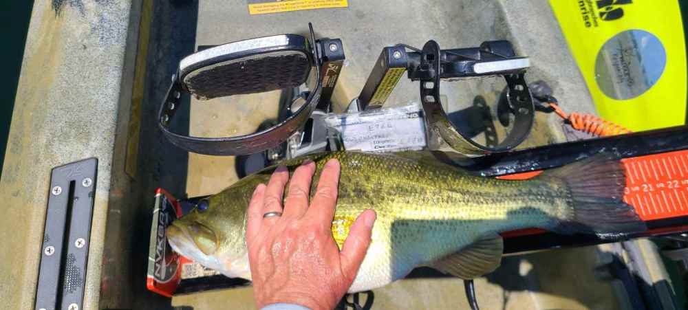 20220723_135515_copy_1612x726.jpg
