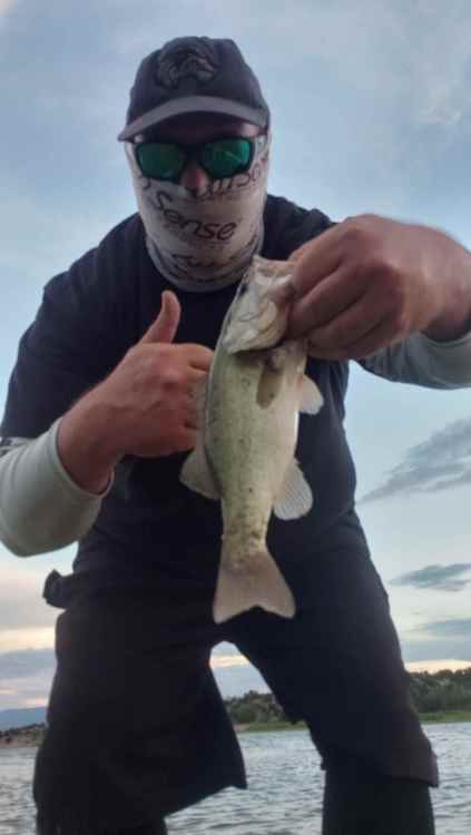 20220723_201538.jpg