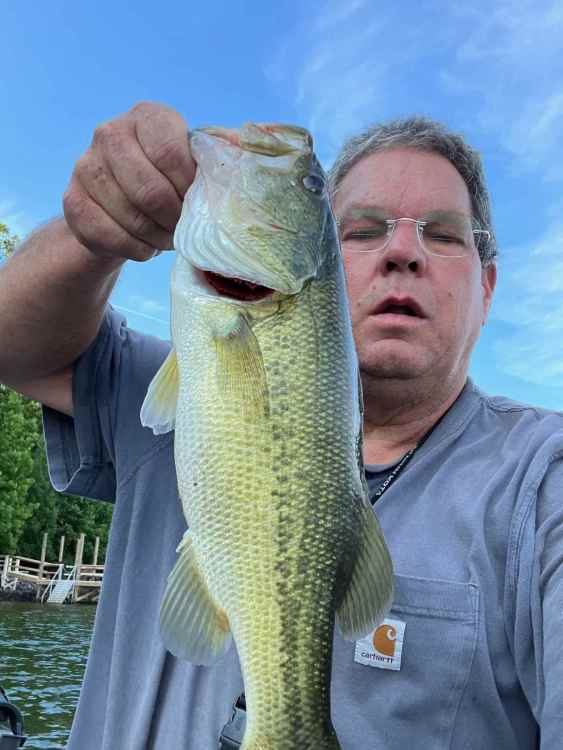3lb 5 oz.jpg