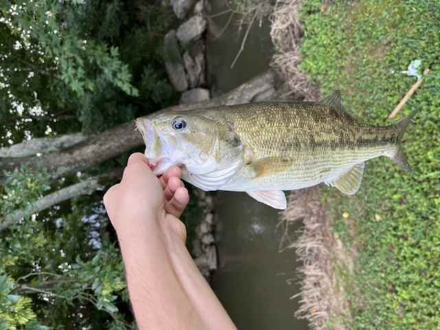 Penn Battle II Spinning on 9 feet rod. Whats furthest casting line? -  Fishing Rods, Reels, Line, and Knots - Bass Fishing Forums