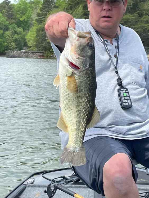 5 pounder.jpg