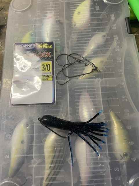 Favorite hook for t-rigging tubes - Fishing Tackle - Bass Fishing Forums