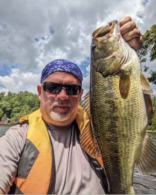 Bass6.jpg